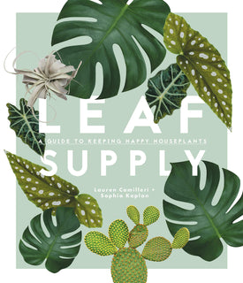 Leaf Supply A guide to keeping happy house plants by Lauren Camilleri