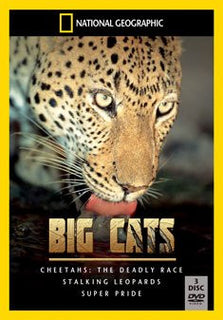 National Geographic: Big Cats [DVD]